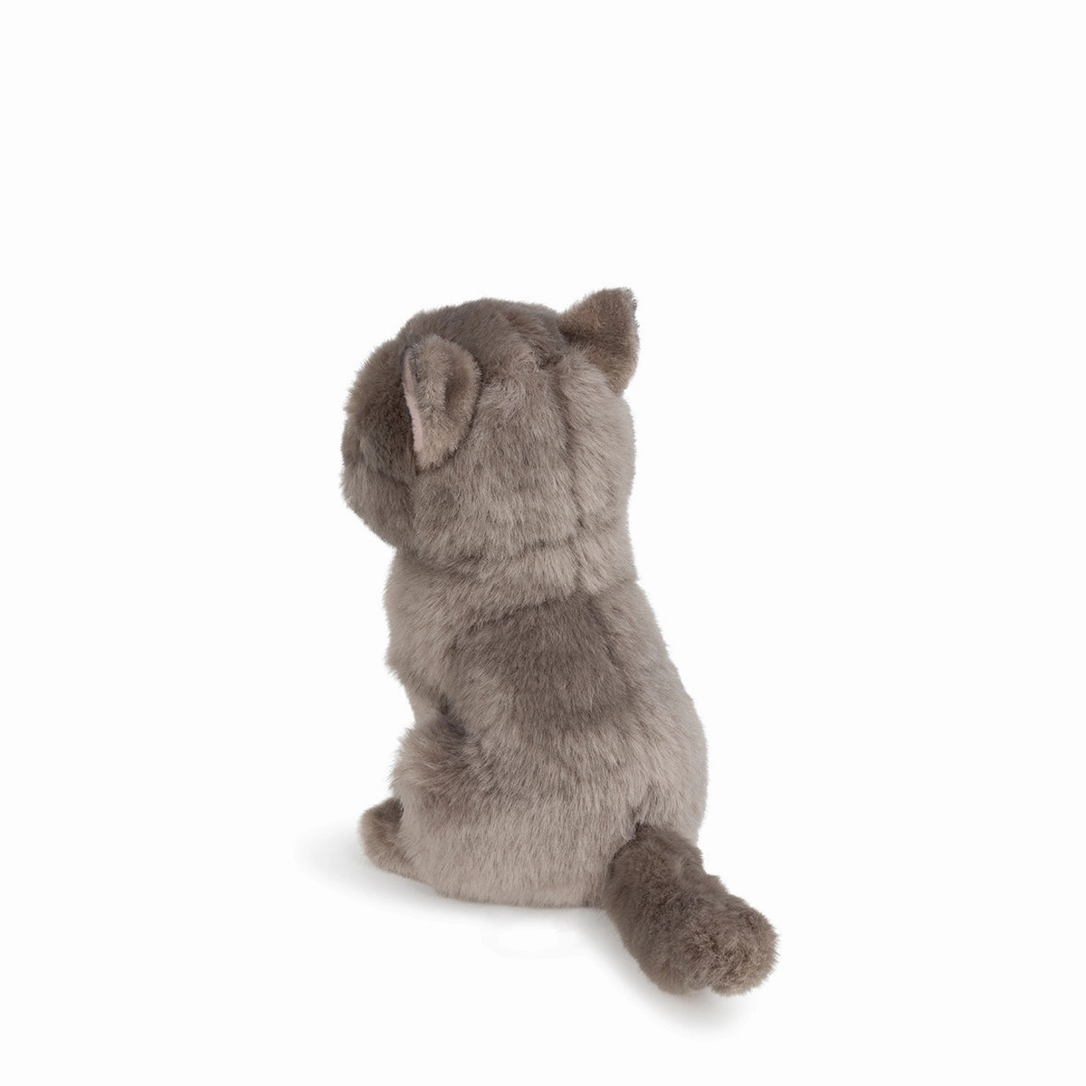 B.T. Chaps  Freddy The British Shorthair Floppy in Giftbox - 17cm - 6.5