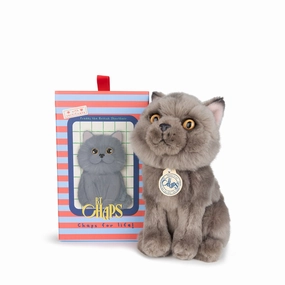 B.T. Chaps  Freddy The British Shorthair Floppy in Giftbox - 17cm - 6.5