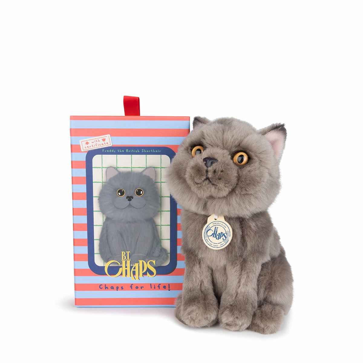 B.T. Chaps  Freddy The British Shorthair Floppy in Giftbox - 17cm - 6.5