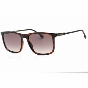 Carrera Men's Sunglasses - Brown Sf Lens Havana Square Frame | CARRERA 231/S 0086 HA