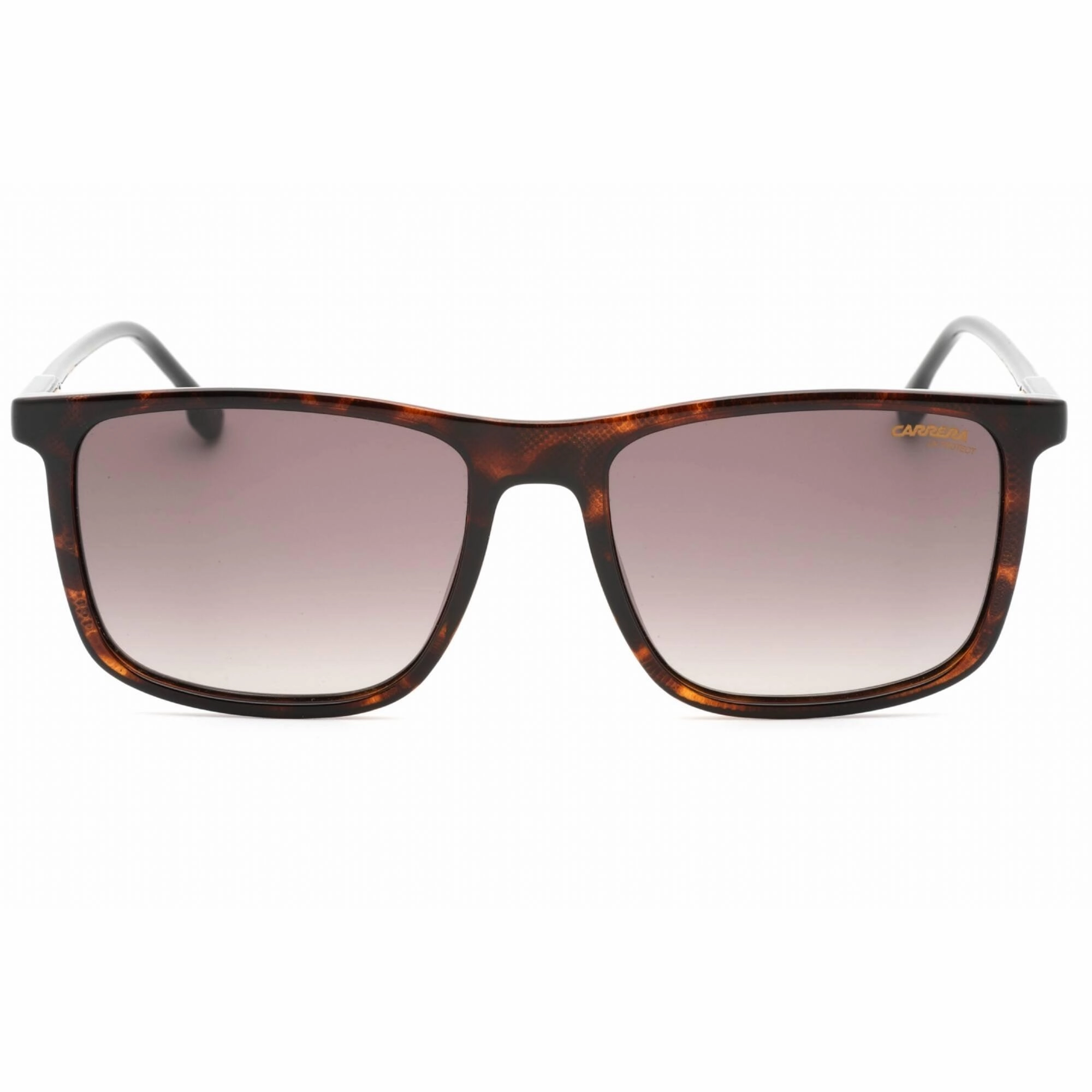 Carrera Men's Sunglasses - Brown Sf Lens Havana Square Frame | CARRERA 231/S 0086 HA