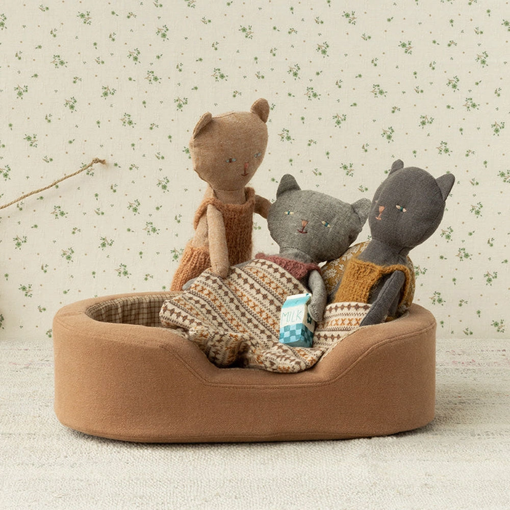 Chatons Kitten