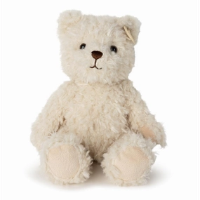 Frederick the Traveller Bear in Giftbox