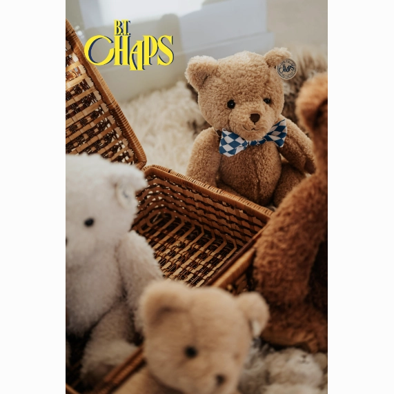 Frederick the Traveller Bear in Giftbox