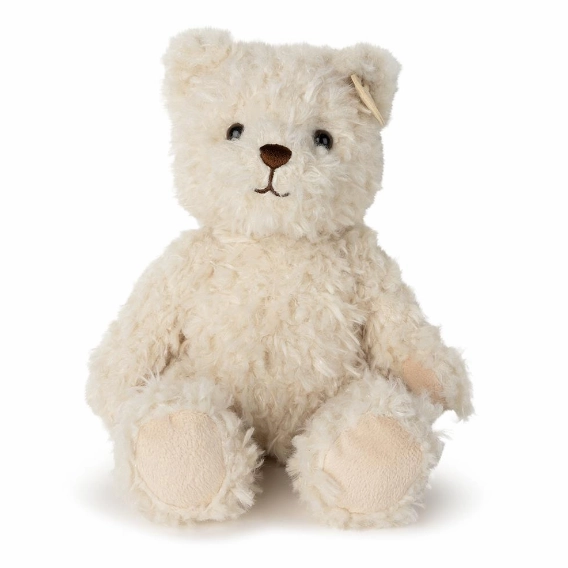Frederick the Traveller Bear in Giftbox