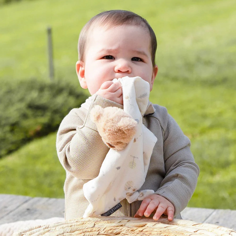 Little Linen Lovie/Comforter Nectar Bear