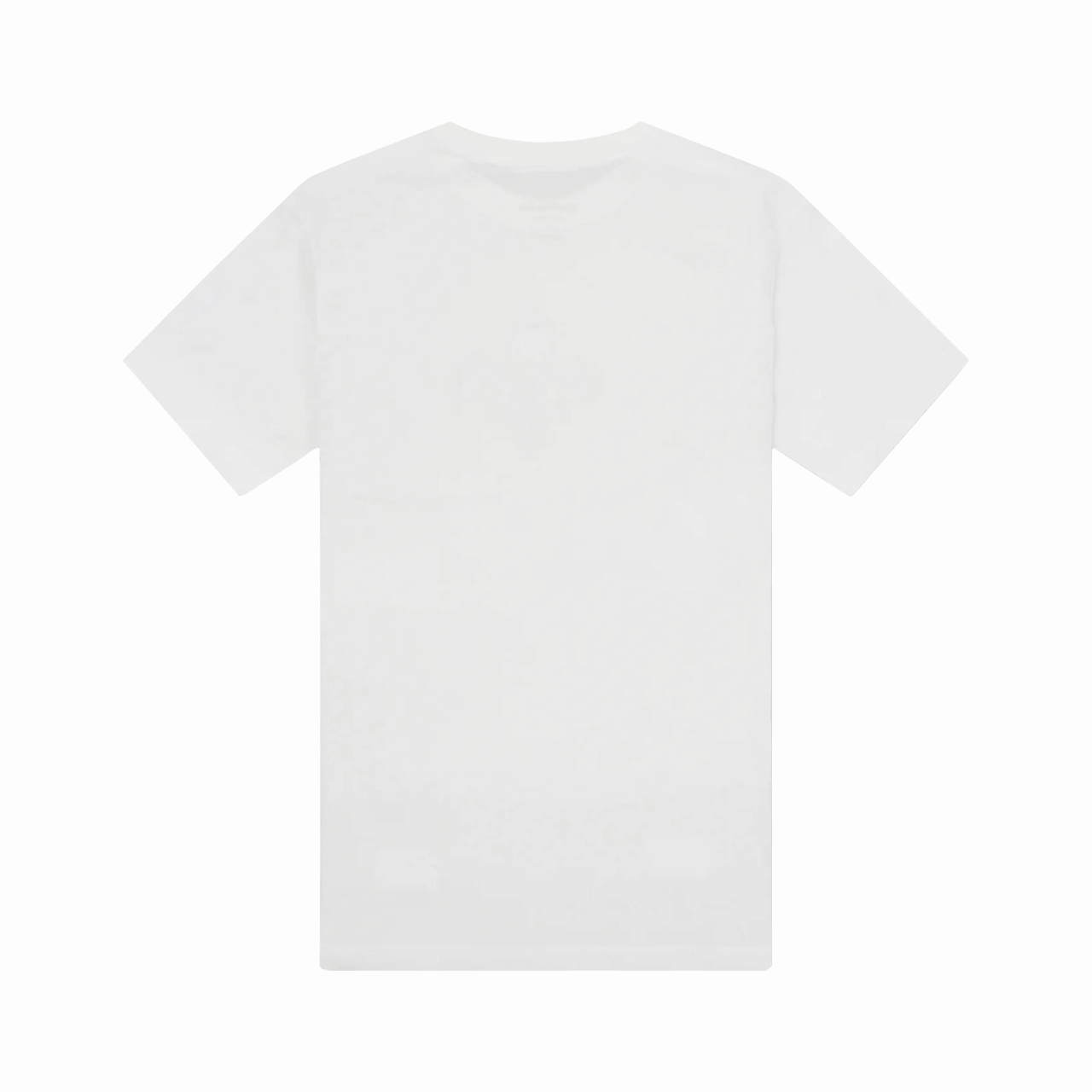 Nike Dry 2024 NBA Champions Boston Celtics Celebration Parade Tee