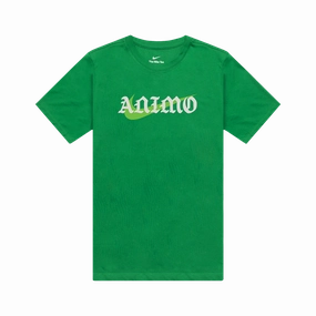 Nike Dry De La Salle University Green Archers Tee