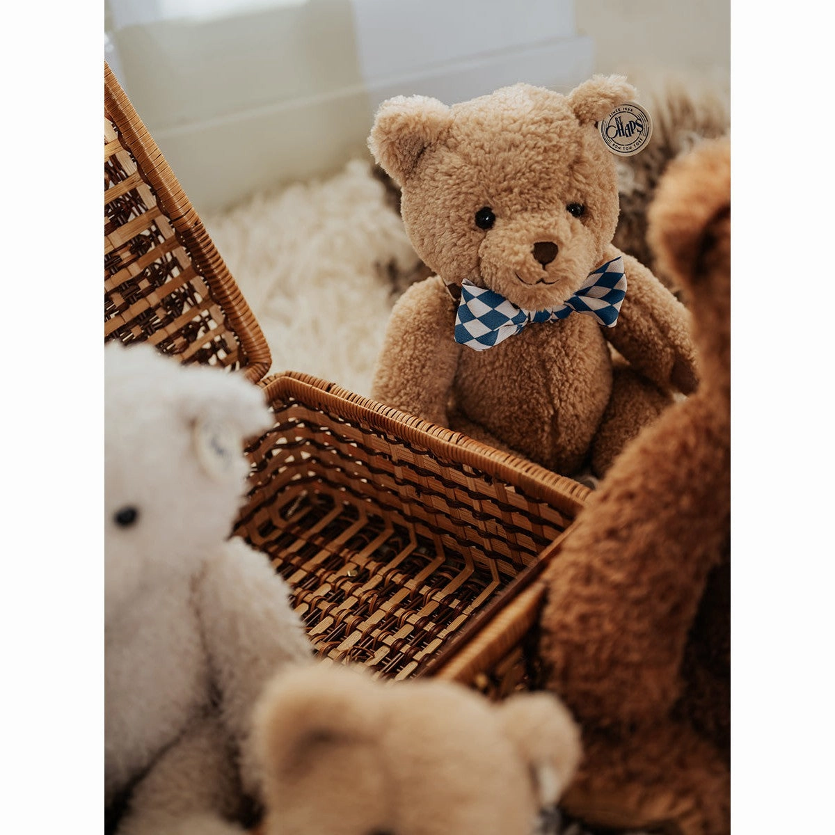 Norman the Snazzie Bear