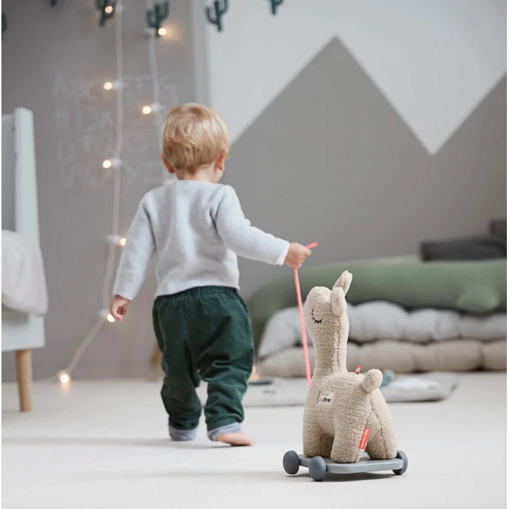 Pull Along 2-in-1 Toy – Lalee Sand